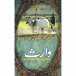 waaris Amjad Islam Amjad