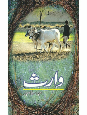 waaris Amjad Islam Amjad